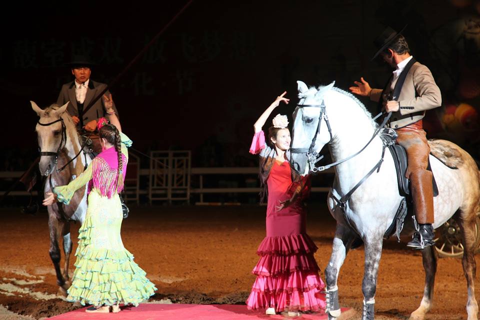 Flamenco en la finca