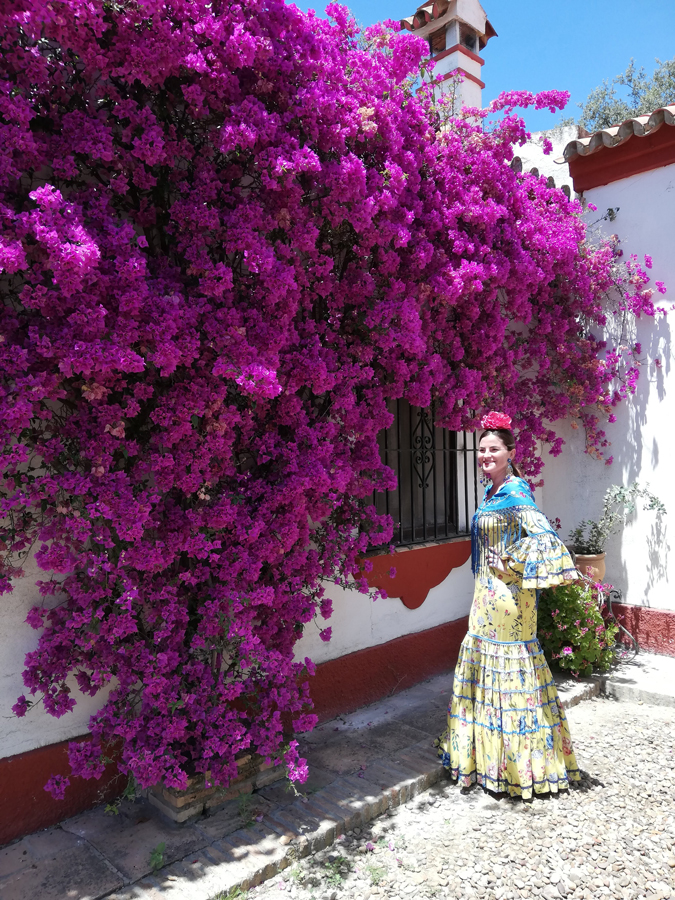 Evento empresarial Sevilla