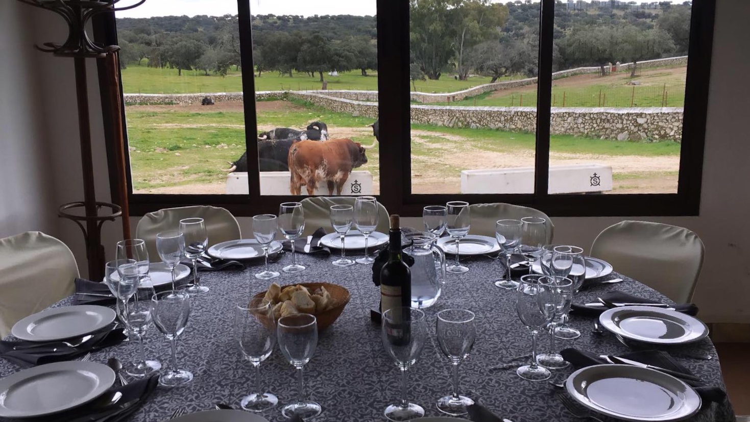 Ganadería brava eventos