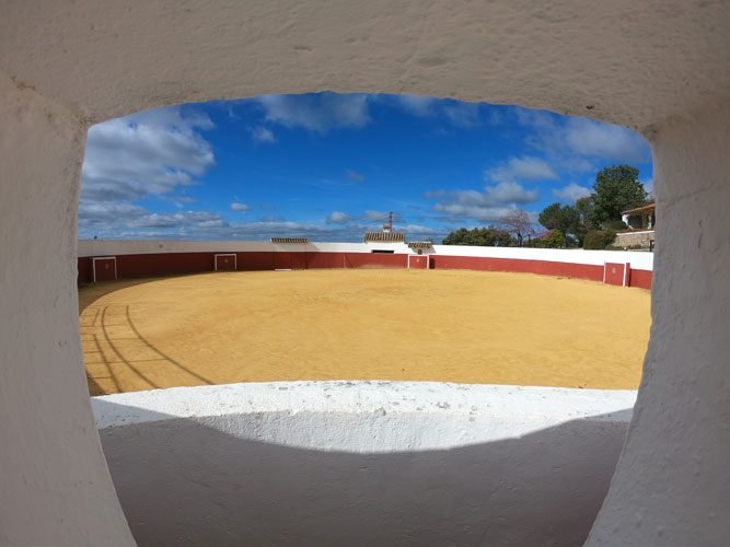 Tienta ganadería Sevilla