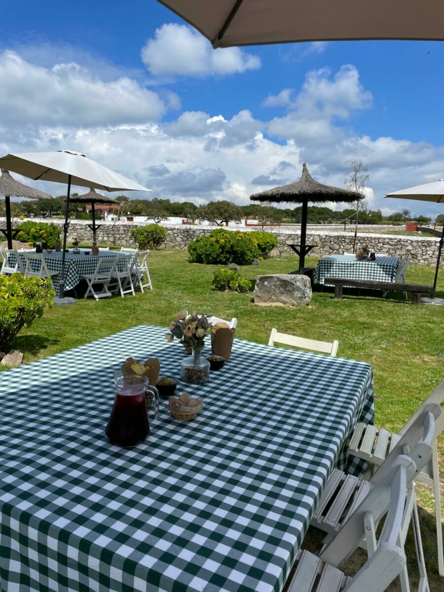 Datos clave para tu celebración perfecta