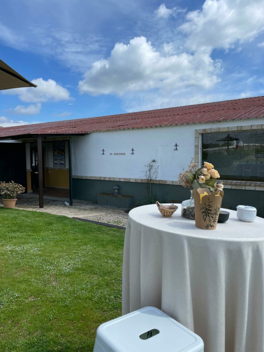 Reuniones con amigos y familia