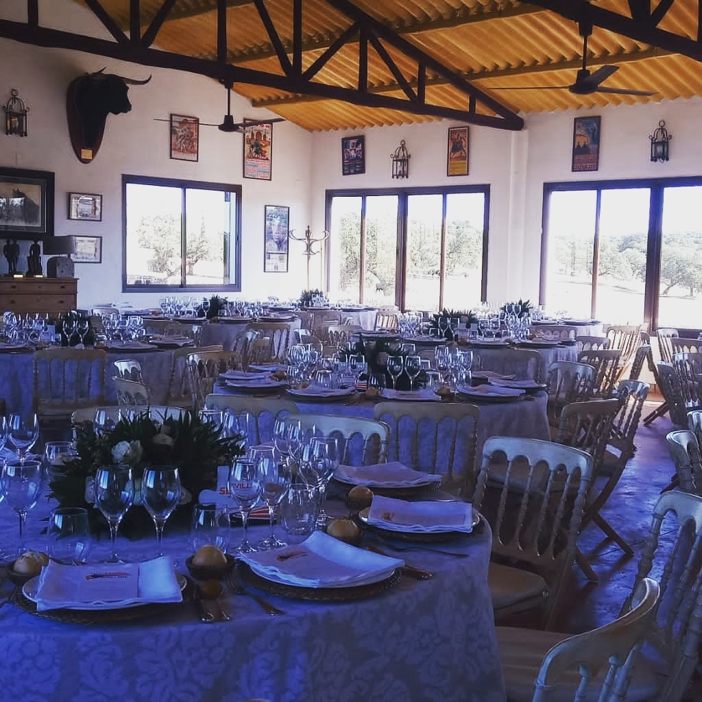 Servicios personalizados y experiencias