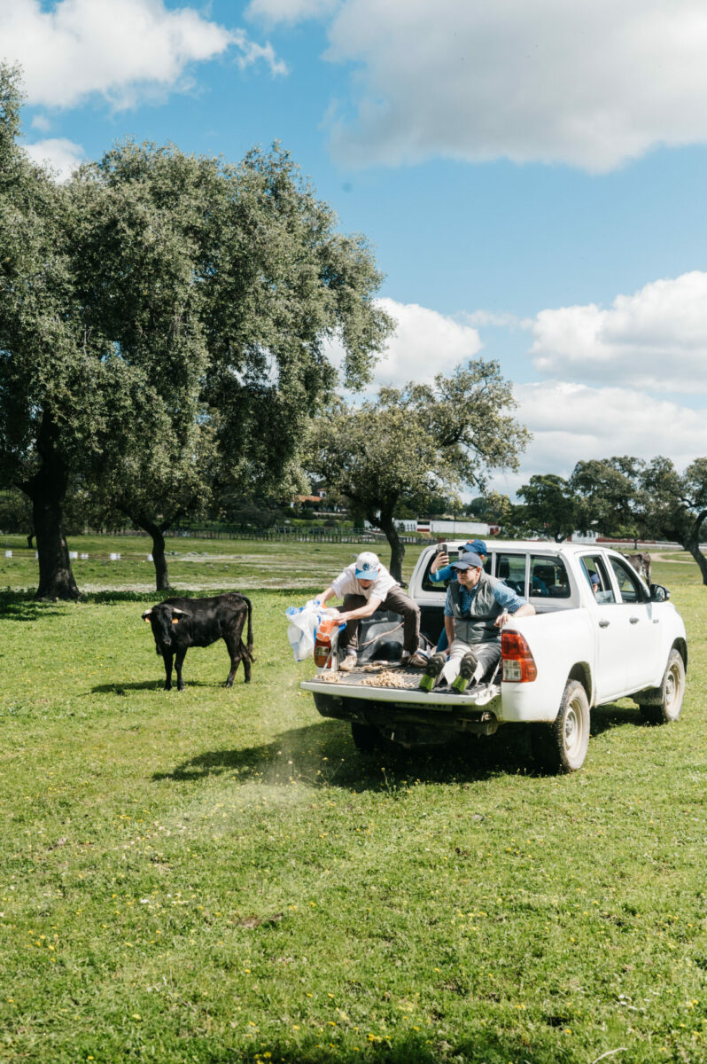 Safari remolque La Capitana