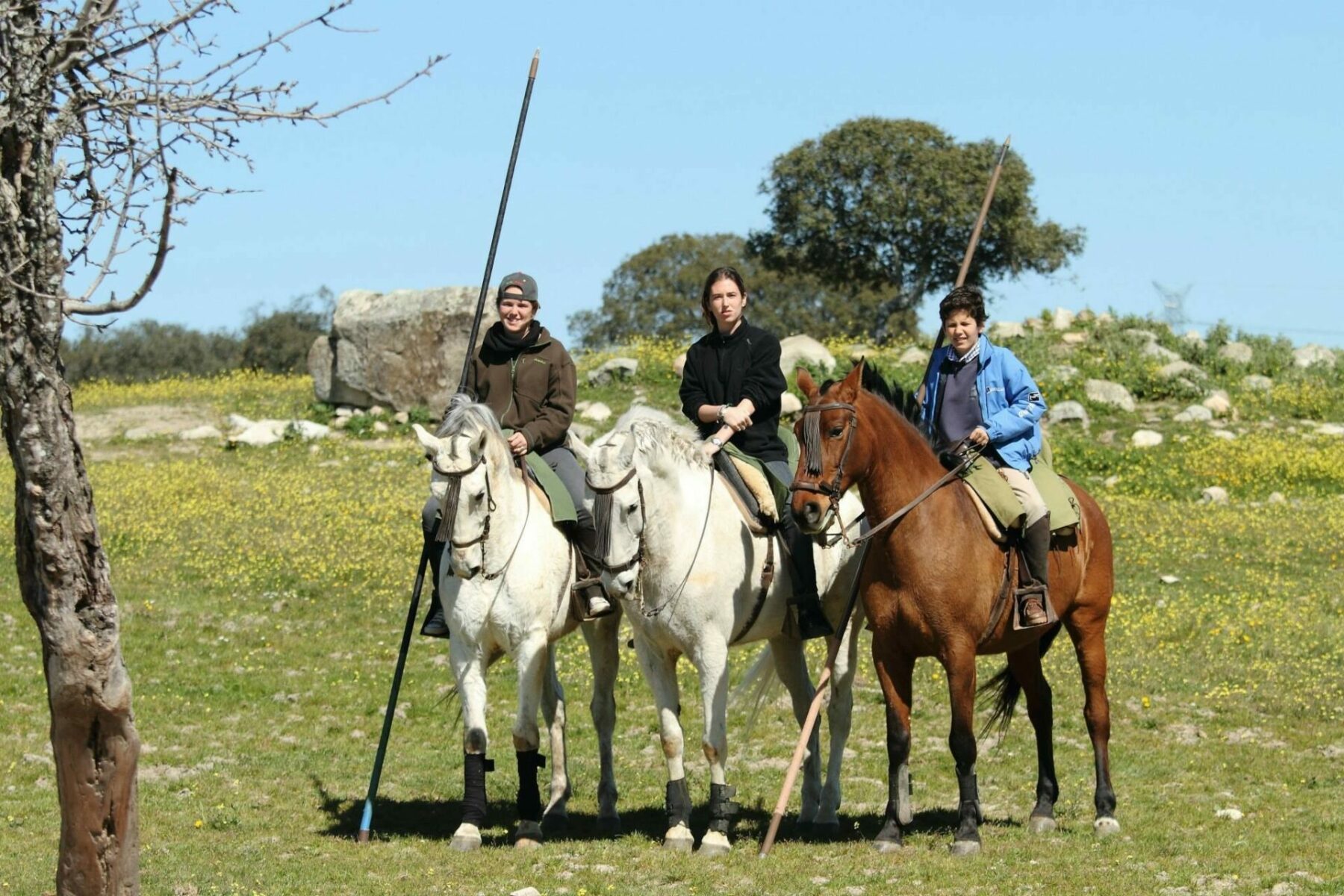 Visitas privadas a caballo
