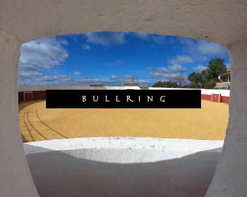 bullring