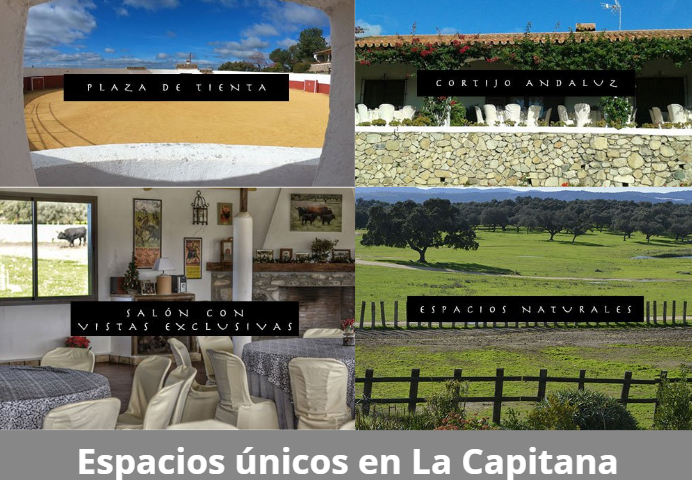 Espacios únicos en la finca La Capitana Experience