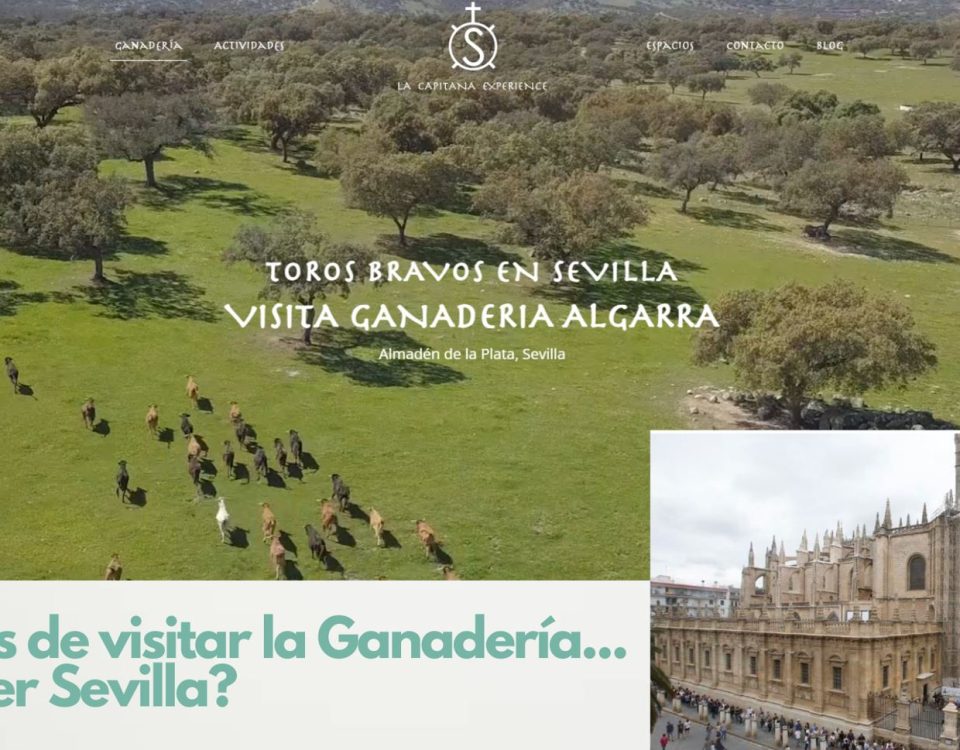 que ver en sevilla