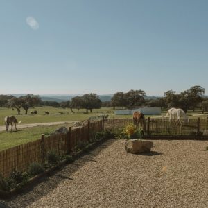 Casa rural