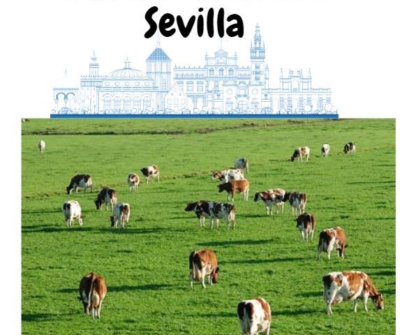 ganaderia brava sevilla