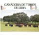 ganaderia de toros de lidia