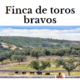finca de toros bravos