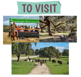 visita ganaderia