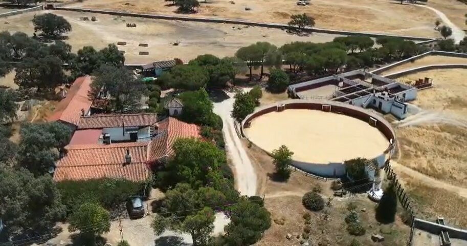Éxito rotundo en Ondara con toros de Algarra y figuras del toreo