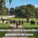 Protección contra incendios en ganadería de toros