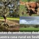Rutas de senderismo cerca de nuestra casa rural en Sevilla