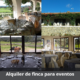 Alquiler de finca para eventos​