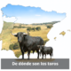 De donde son los toros