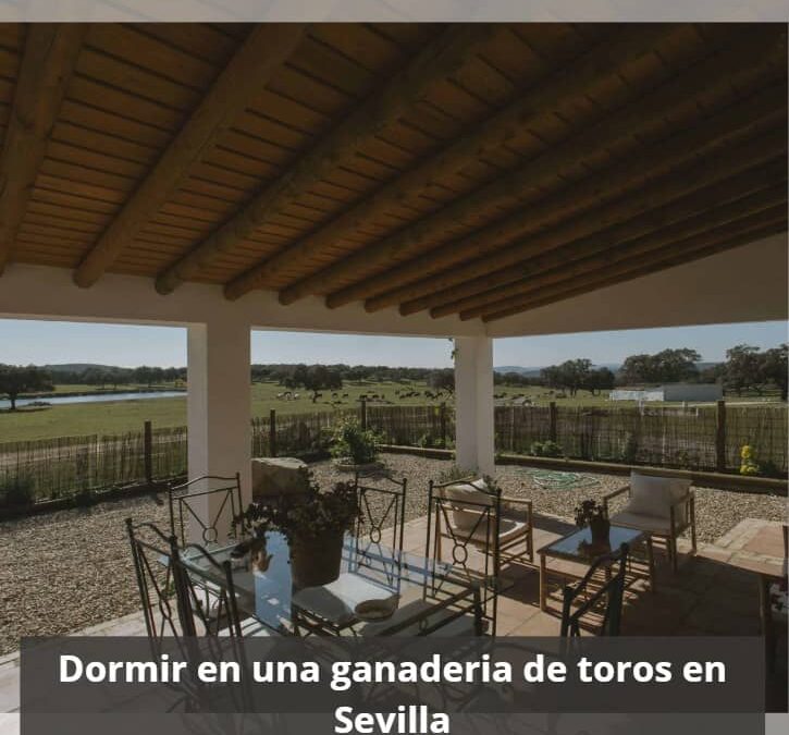Dormir en una ganaderia de toros en Sevilla