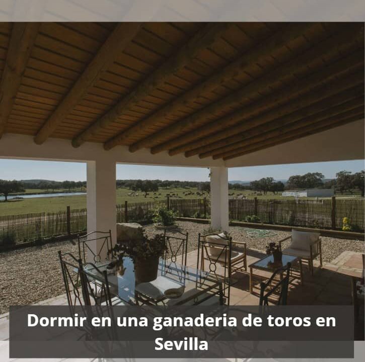 Dormir en una ganaderia de toros en Sevilla